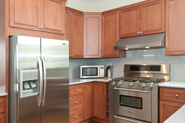 Lake Street: Arts & Crafts Condominium
