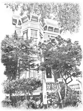 807 Franklin Street (between Turk & Eddy), San Francisco, CA